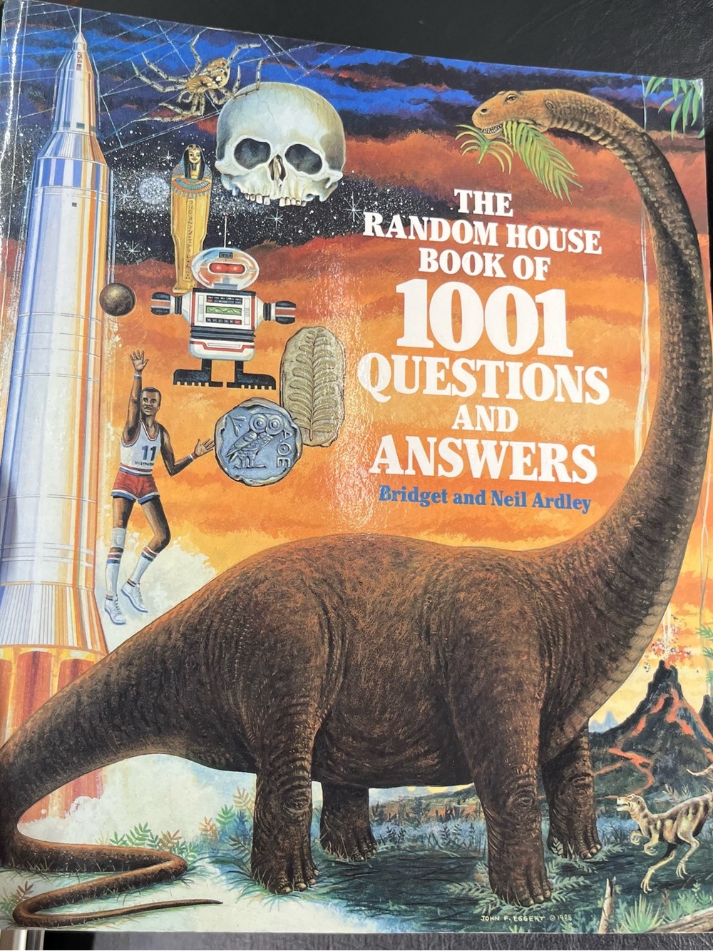 Book of 1001 Questions and Answers
